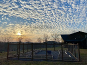 IMG_3752