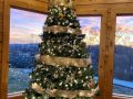 IMG_9518-copy