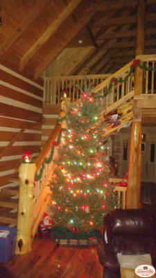 IMG_20171204_231528681-1