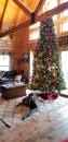 Resized_20211123_074328