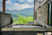 1_Suiter-Gatlinburg-029_TNPC