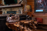 1_Suiter-Gatlinburg-047_TNPC