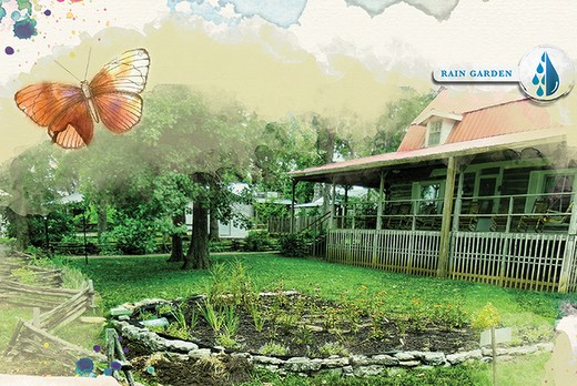 Take Charge of Your Water with a Rain Garden