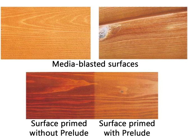 Media Blasting vs. Chemical Stripping for Wood Homes