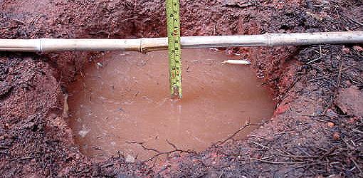 diy soil perk test 5